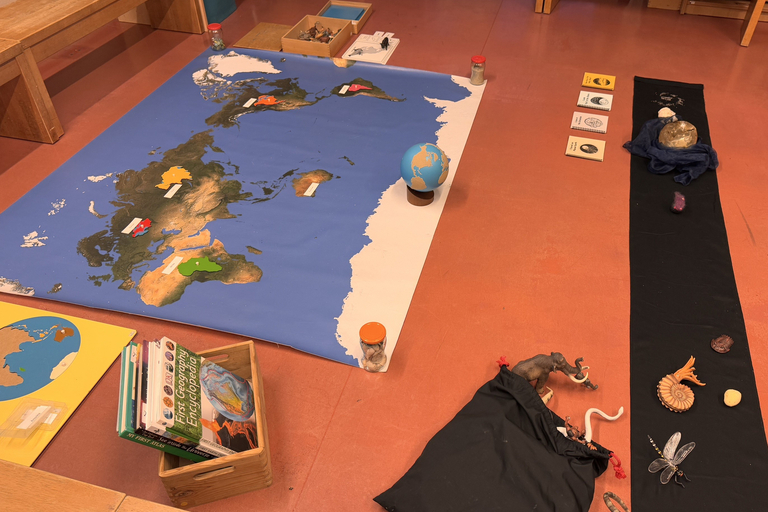 Es ist das Montessori-Material "Tiere der Welt" und das schwarze Band zu sehen. 