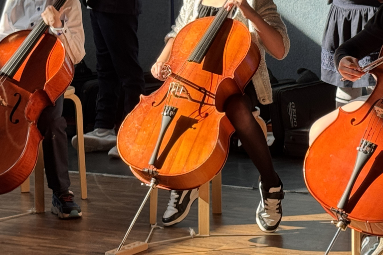 Zu sehen sind drei Celli.